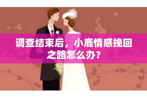 调查结束后，小鹿情感挽回之路怎么办？