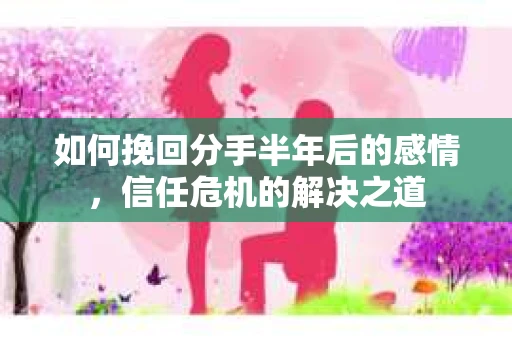 如何挽回分手半年后的感情，信任危机的解决之道