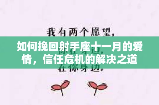 如何挽回射手座十一月的爱情，信任危机的解决之道