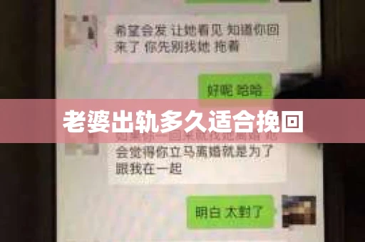 老婆出轨多久适合挽回