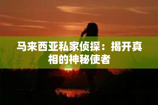 马来西亚私家侦探：揭开真相的神秘使者