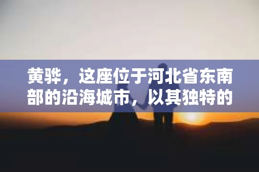黄骅，这座位于河北省东南部的沿海城市，以其独特的地理位置和丰富的历史文化而闻名。然而，在这座城市中，还有一群人，他们以另一种方式默默守护着社会的公平与正义——私家侦探。今天，我们就来聊聊黄骅的私家侦探，看看他们是如何在这个城市中发挥作用的。