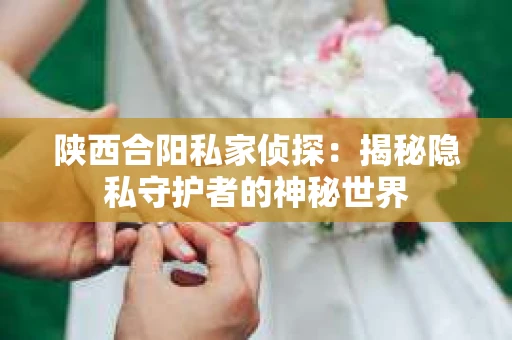 陕西合阳私家侦探：揭秘隐私守护者的神秘世界