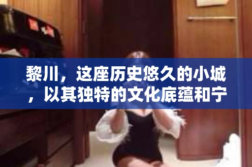 黎川，这座历史悠久的小城，以其独特的文化底蕴和宁静的生活节奏吸引着无数游客。然而，在这样一个看似平静的城市里，你是否会好奇，有没有私家侦探机构的存在呢？今天，就让我带你一探究竟。