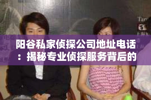 阳谷私家侦探公司地址电话：揭秘专业侦探服务背后的故事