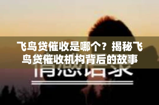 飞鸟贷催收是哪个？揭秘飞鸟贷催收机构背后的故事