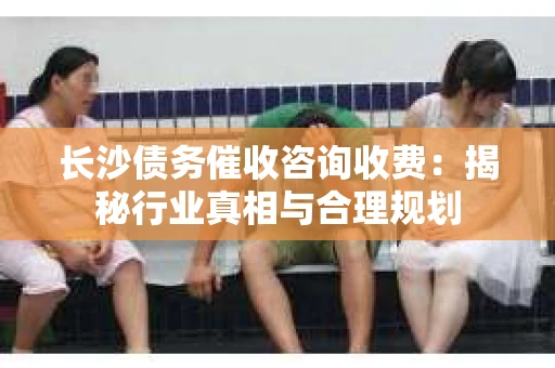 长沙债务催收咨询收费：揭秘行业真相与合理规划