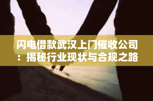 闪电借款武汉上门催收公司：揭秘行业现状与合规之路