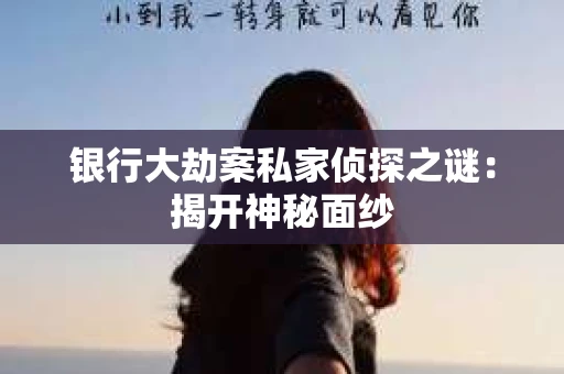 银行大劫案私家侦探之谜：揭开神秘面纱