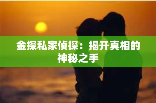 金探私家侦探：揭开真相的神秘之手