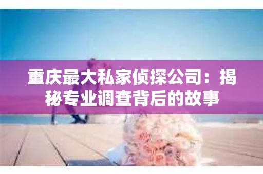 重庆最大私家侦探公司：揭秘专业调查背后的故事