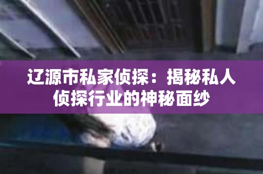 辽源市私家侦探：揭秘私人侦探行业的神秘面纱