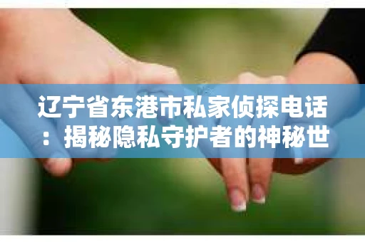 辽宁省东港市私家侦探电话：揭秘隐私守护者的神秘世界