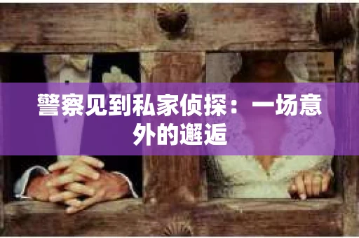 警察见到私家侦探：一场意外的邂逅