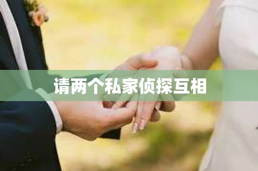请两个私家侦探互相
