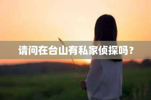 请问在台山有私家侦探吗? 请问在台山有私家侦探吗?