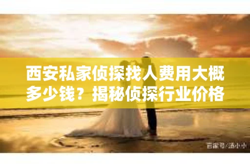 西安私家侦探找人费用大概多少钱？揭秘侦探行业价格之谜