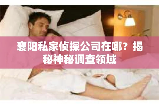 襄阳私家侦探公司在哪？揭秘神秘调查领域