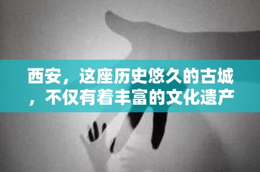 西安，这座历史悠久的古城，不仅有着丰富的文化遗产，也有着现代社会的各种需求。今天，我们就来聊聊一个比较特别的话题——西安有没有私家侦探。