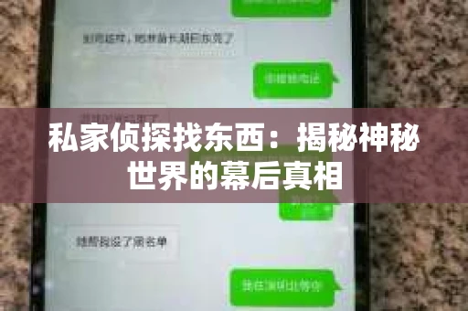 私家侦探找东西：揭秘神秘世界的幕后真相