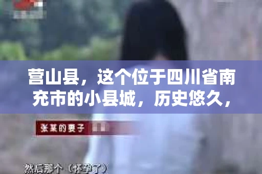 营山县，这个位于四川省南充市的小县城，历史悠久，风景秀丽。但在这个宁静的小县城里，你是否会好奇，有没有私家侦探的存在呢？今天，我就来和大家聊聊这个话题。