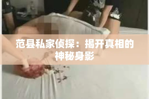 范县私家侦探：揭开真相的神秘身影