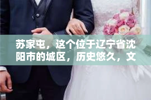 苏家屯，这个位于辽宁省沈阳市的城区，历史悠久，文化底蕴深厚。近年来，随着社会的发展，人们对于私家侦探的需求也逐渐增加。那么，苏家屯有私家侦探吗？今天，我们就来聊聊这个话题。