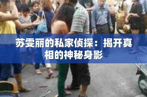 苏雯丽的私家侦探：揭开真相的神秘身影