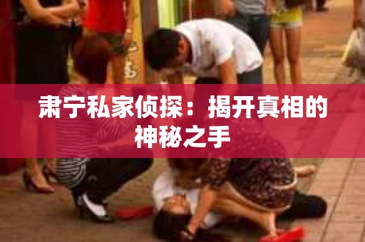 肃宁私家侦探：揭开真相的神秘之手