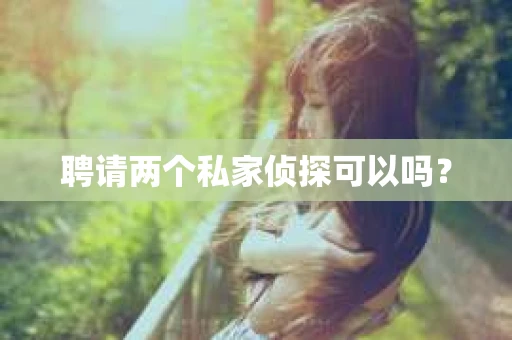 聘请两个私家侦探可以吗？