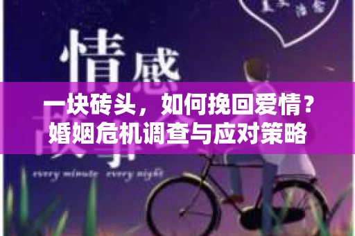 一块砖头,如何挽回爱情?婚姻危机调查与应对策略 一块砖头,如何挽回爱情?婚姻危机调查与应对策略