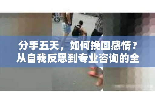 分手五天，如何挽回感情？从自我反思到专业咨询的全面解决方案