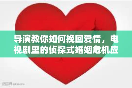 导演教你如何挽回爱情,电视剧里的侦探式婚姻危机应对法 导演教你如何挽回爱情,电视剧里的侦探式婚姻危机应对法