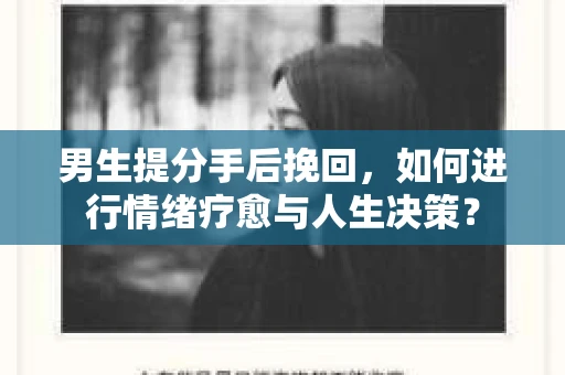 男生提分手后挽回，如何进行情绪疗愈与人生决策？