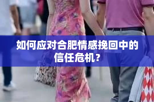 如何应对合肥情感挽回中的信任危机？