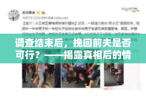 调查结束后，挽回前夫是否可行？——揭露真相后的情感疗愈与人生决策