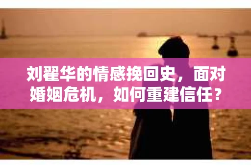 刘翟华的情感挽回史，面对婚姻危机，如何重建信任？